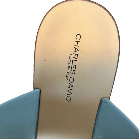 CHARLES DAVID Ama Robin Egg Blue/White Minimalist Made in Italy Flat Sandal Sz 8 - Picture 5 of 7